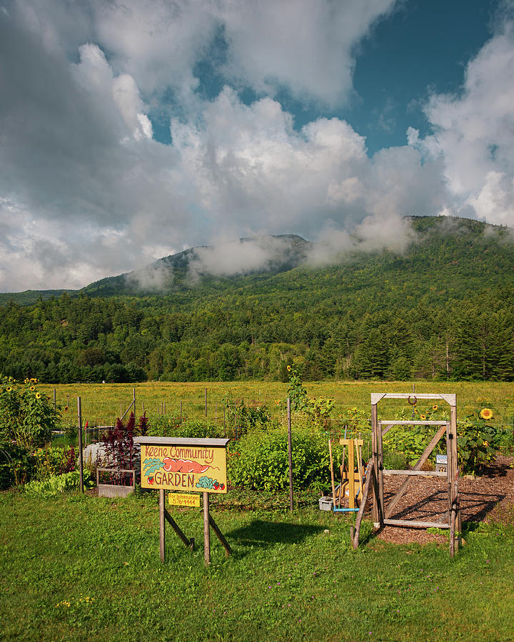 keene community garden        
        <figure class=