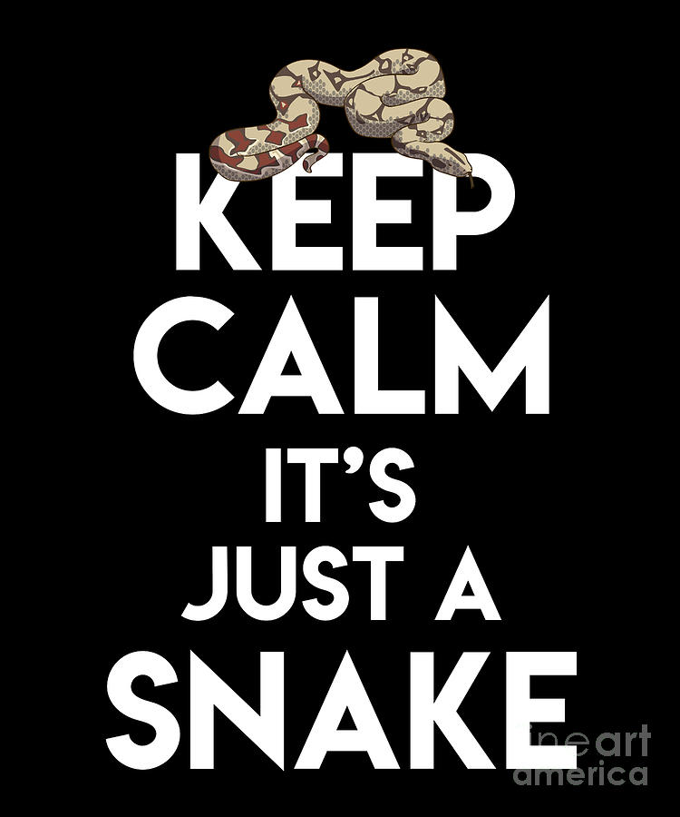 Keep Calm Its Just A Snake Cobra Python Pet Gift Digital Art by Thomas ...