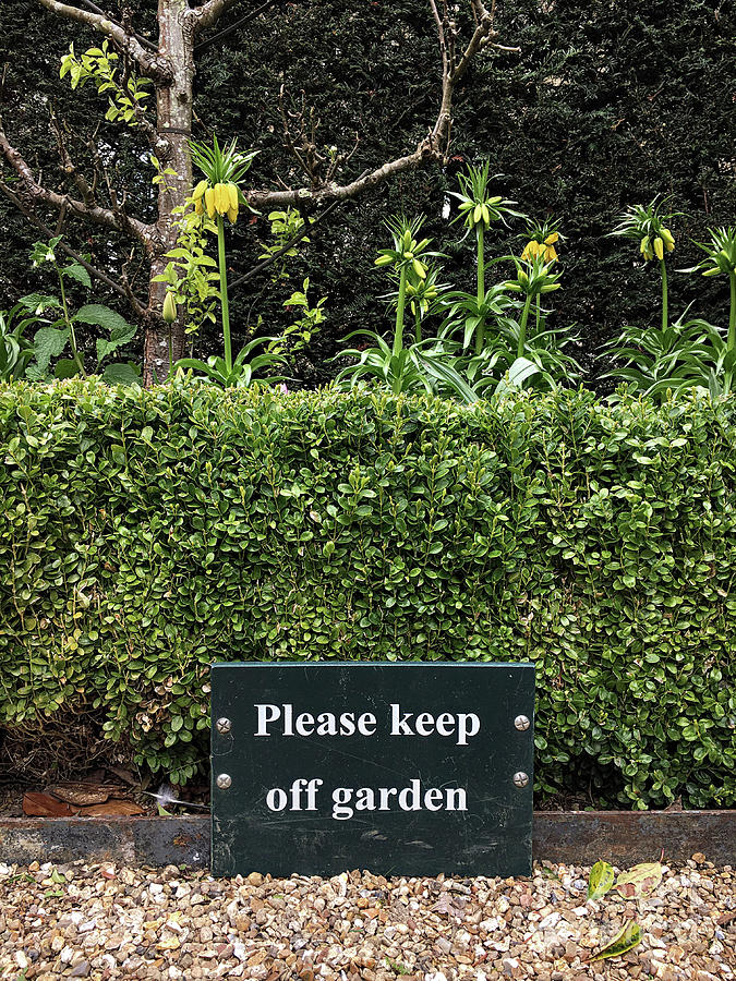 Background Photograph - Keep Off The Garden by Tom Gowanlock Background Photograph - Keep Off The Garden by Tom Gowanlock