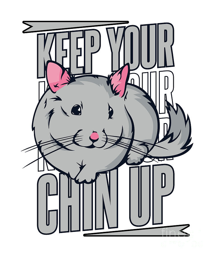 Keep Your Chin Up Long Tailed Chinchillidae Chinchilla Digital Art By