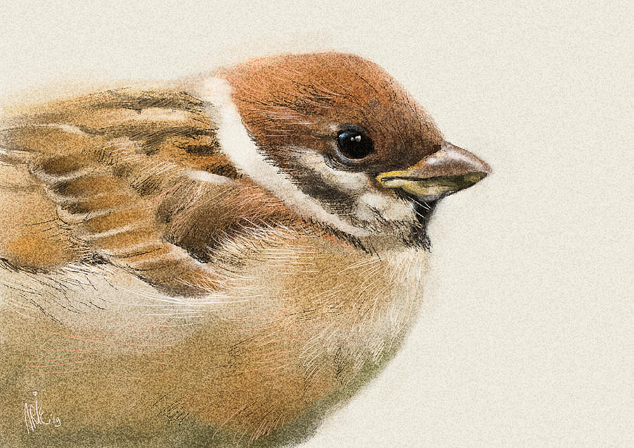 Keep Your Eye on the Sparrow Digital Art by Arie Van der Wijst