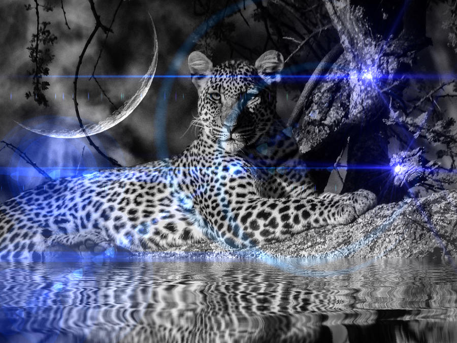KEEPER OF THE NIGHT by Elie Wolf KEEPER OF THE NIGHT by Elie Wolf
