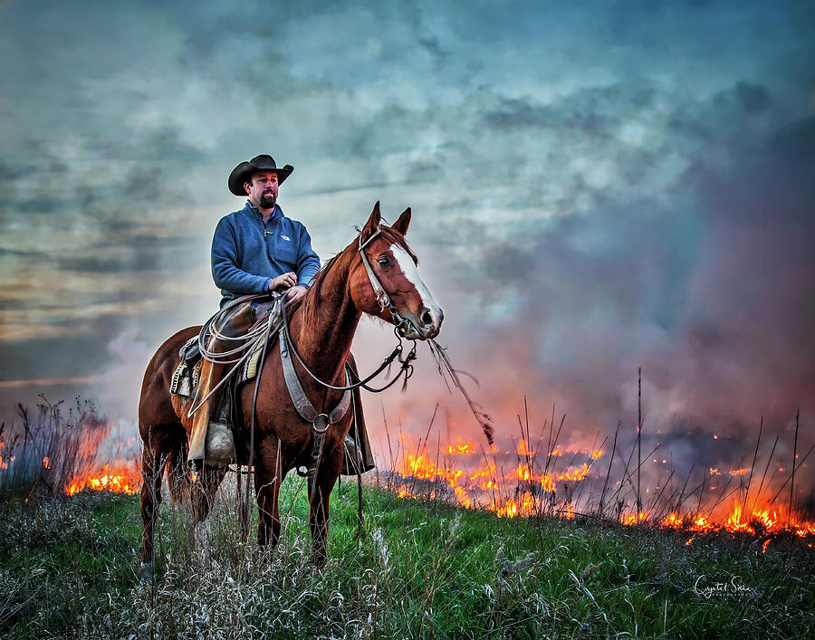 Keeping an eye on the Flames Photograph by Crystal Socha