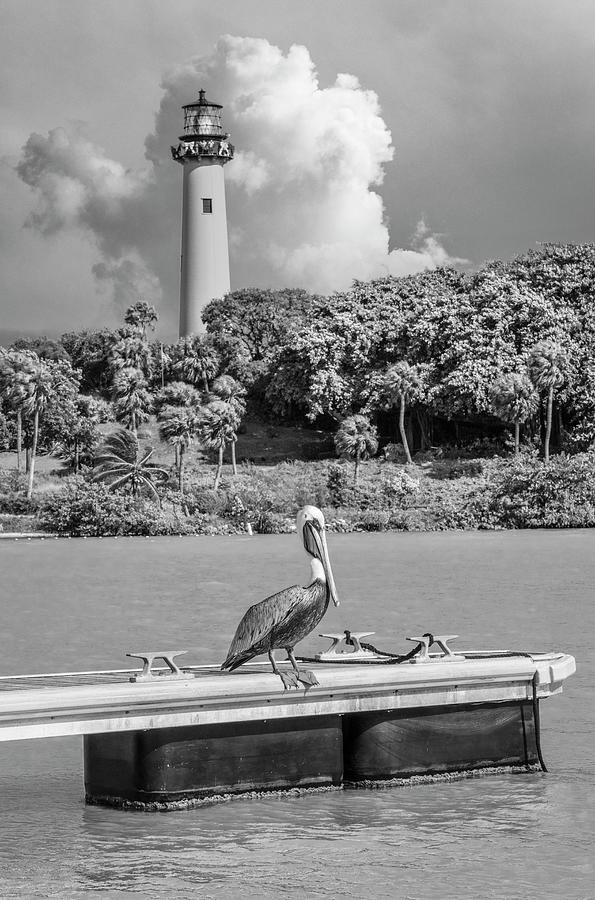 Keeping Watch over the Jupiter Lighthouse  Black and White Photograph by Debra and Dave Vanderlaan