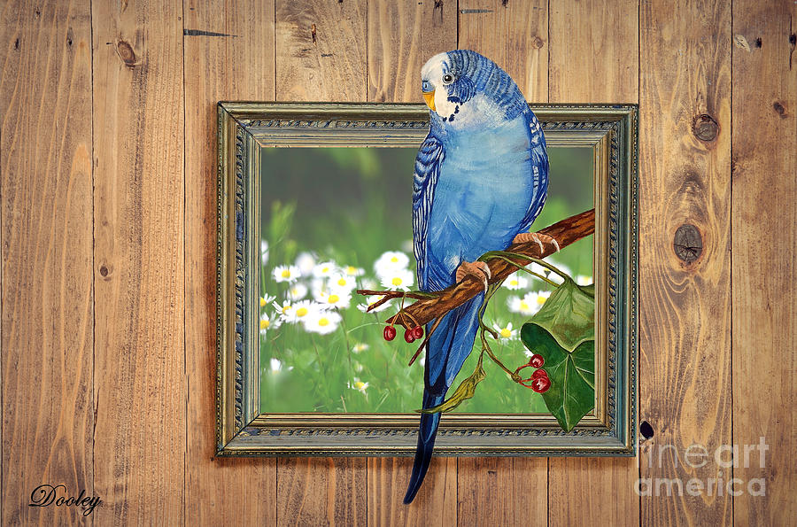 Parakeet Mixed Media - Keet on a Branch by Fine Art By Edie
