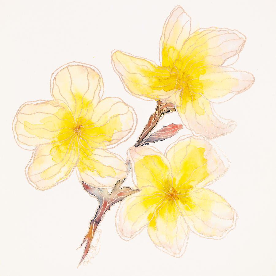Watercolor Painting - Kellys Plumeria by Kelly Edwards Watercolor Painting - Kellys Plumeria by Kelly Edwards