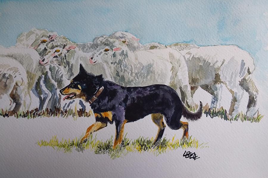 Sheep Painting - Kelpie Sheepdog by Leonie Bell