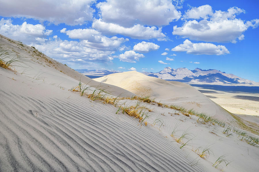 Kelso Dunes Desert Landscape Photograph by Kyle Hanson