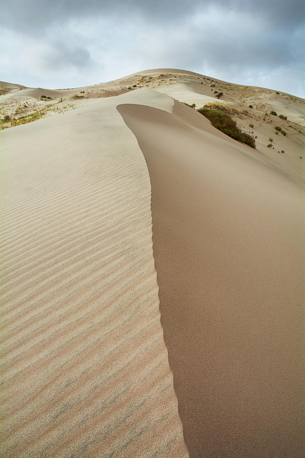 Kelso Dunes Mojave Portrait Photograph by Kyle Hanson