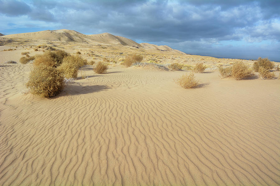 Kelso Dunes Mojave Preserve Photograph by Kyle Hanson