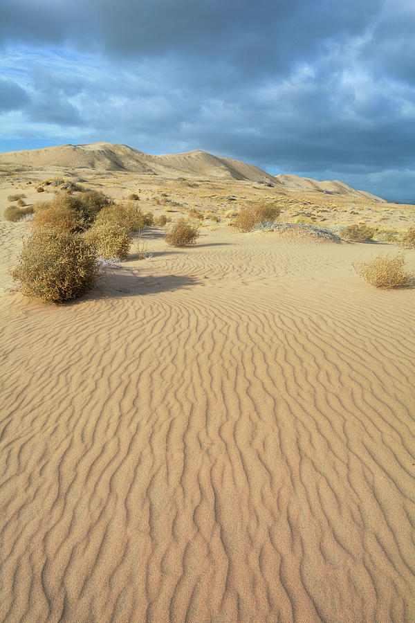 Kelso Dunes Mojave Preserve Portrait Photograph by Kyle Hanson