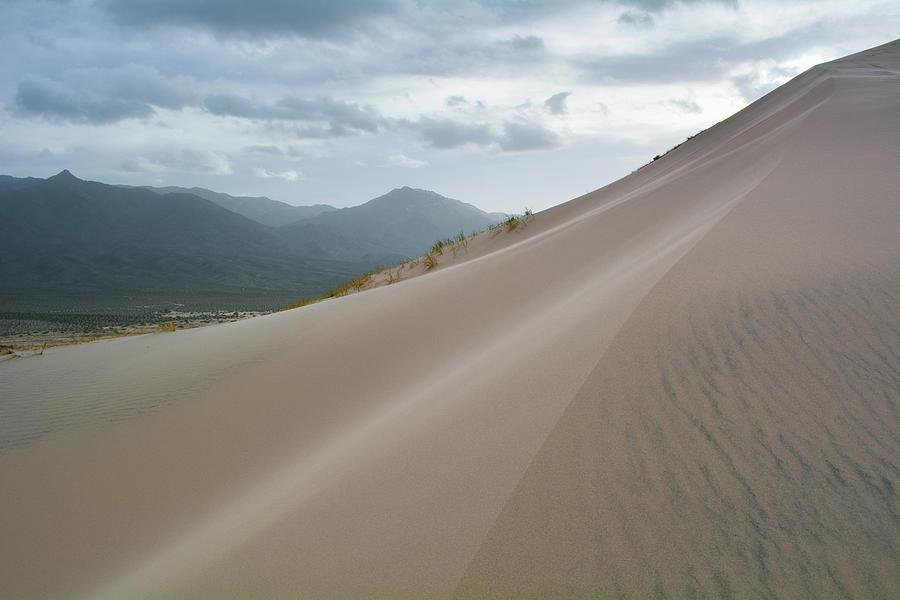 Kelso Dunes Sands Photograph by Kyle Hanson