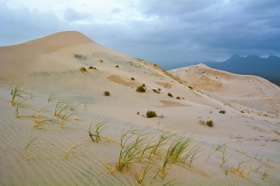 Kelso Dunes Stormy Afternoon Photograph by Kyle Hanson