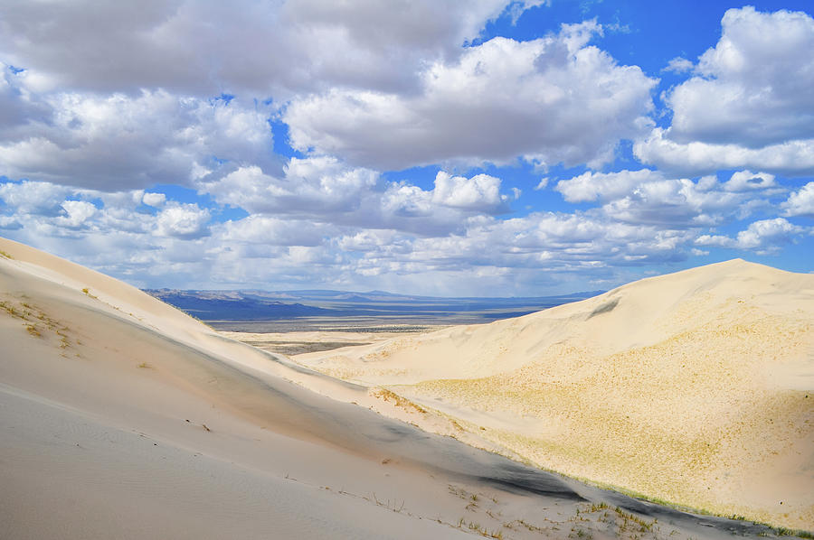 Kelso Sand Dunes Photograph by Kyle Hanson