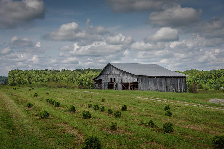 Kentucky Barn 8959 Photograph by Guy Whiteley