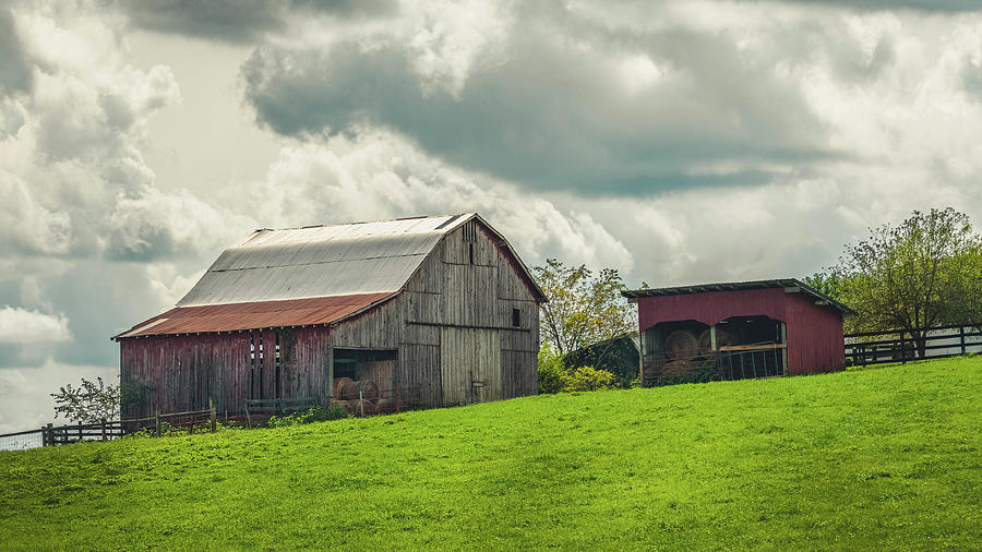 Kentucky Barn 8980 Photograph by Guy Whiteley