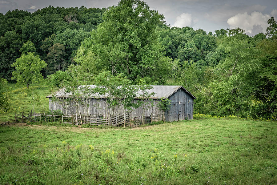 Kentucky Barn 9007 Photograph by Guy Whiteley