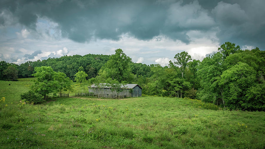Kentucky Barn 9008 Photograph by Guy Whiteley