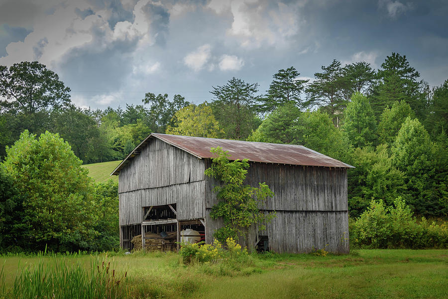 Kentucky Barn 9017 Photograph by Guy Whiteley
