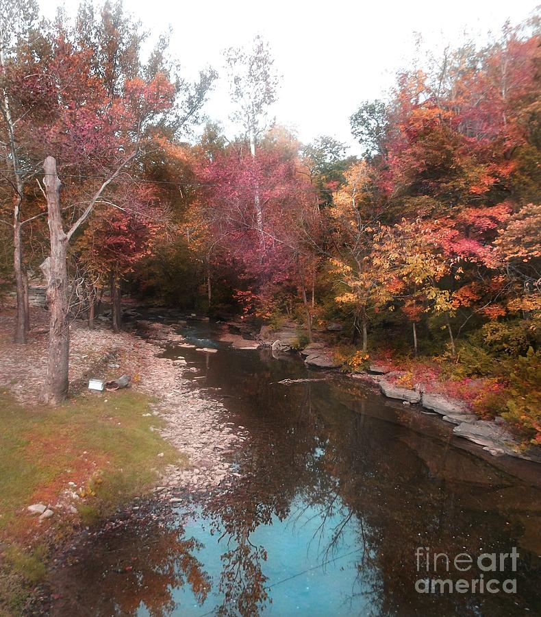 Kentucky Fall Photograph by David Neace