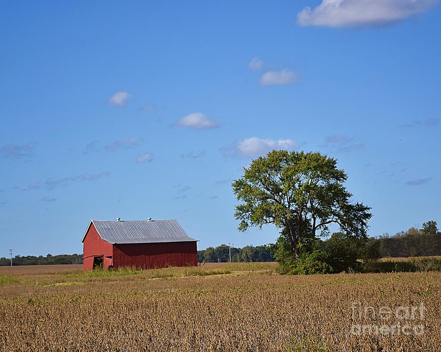 Kentucky Farm Photograph by Kathy M Krause