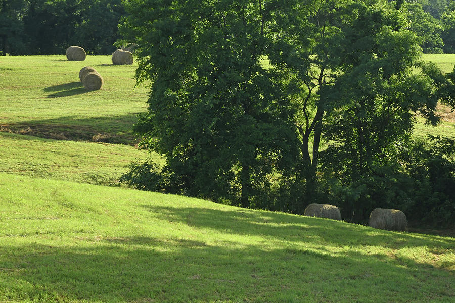 Kentucky Hills And Hay Bales Photograph by Robert Tubesing - Fine Art ...