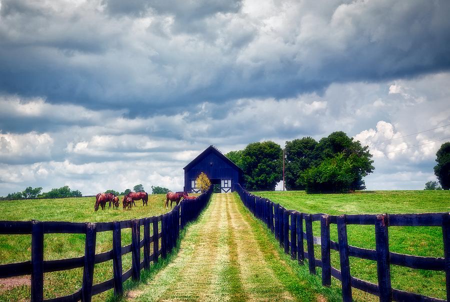Horse Photograph - Kentucky Horse Country by Mountain Dreams