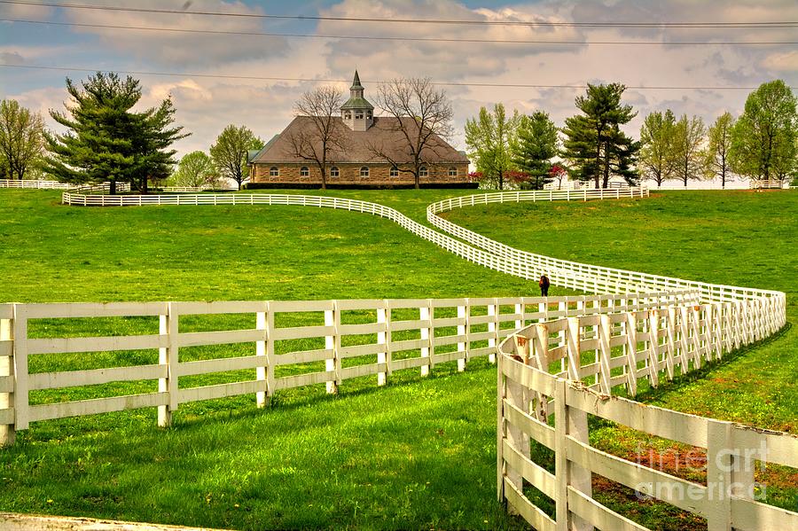 Landscape Photograph - Kentucky Horse Farm No 3 by Paul Lindner