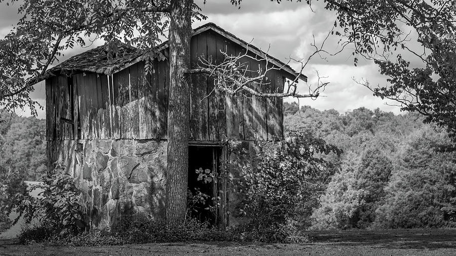Kentucky Shed 8976 Photograph by Guy Whiteley