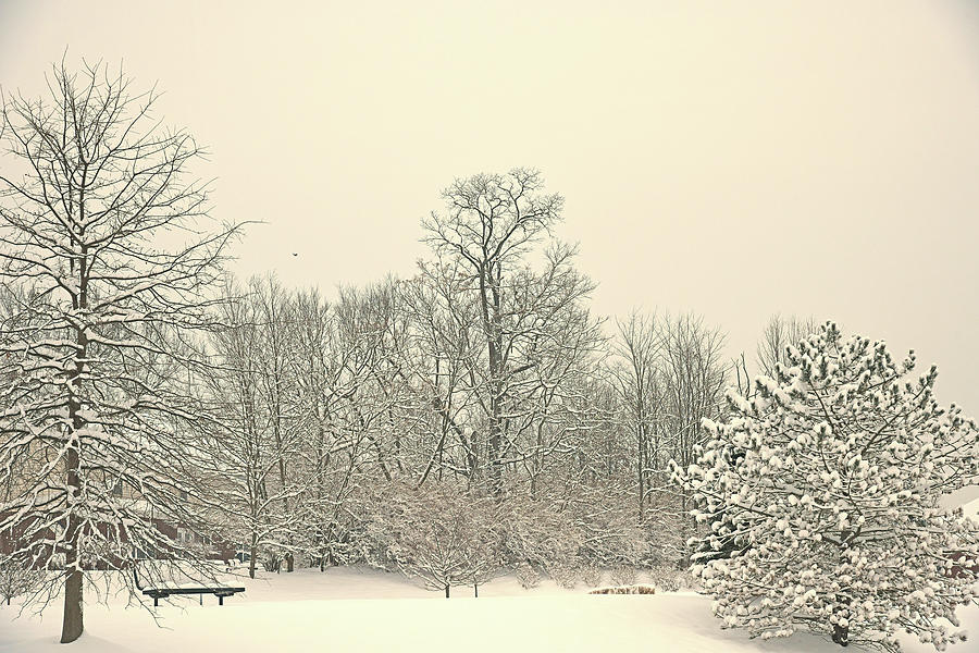 Kentucky Snow Surprise Photograph by Robert Tubesing - Fine Art America