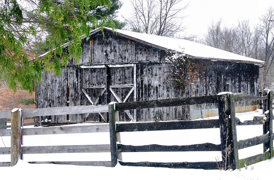 Kentucky Snowfall Photograph by Rebecca Higgins