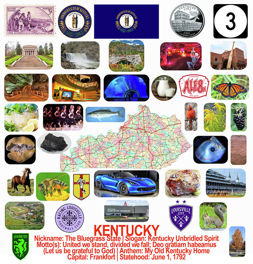Kentucky State Symbols Photograph by Robert Banach Kentucky State Symbols Photograph by Robert Banach