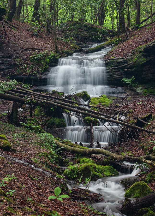 Kentucky Waterfall Photograph by Peggy Teufel