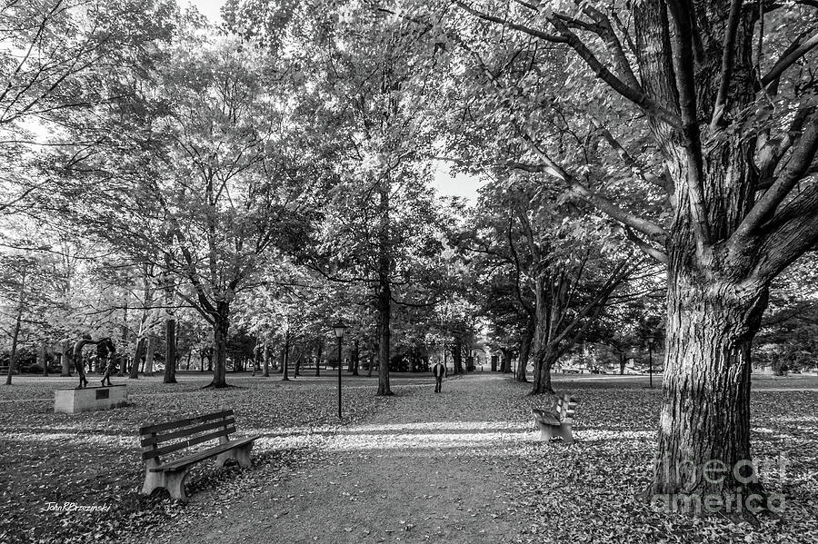 Kenyon College Middle Path Photograph by University Icons