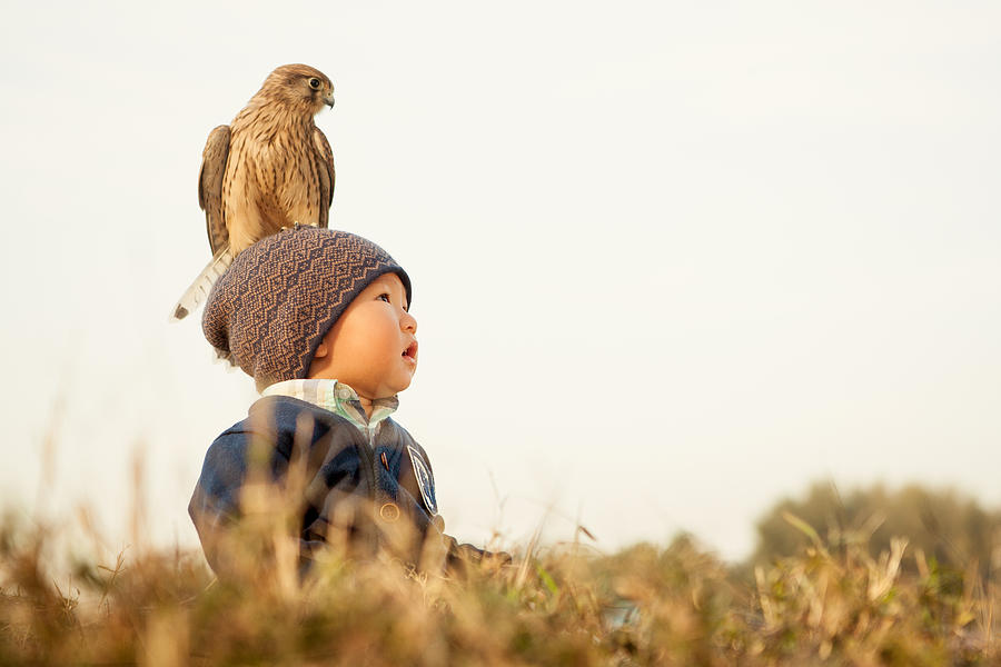 Kestrel Falcon On The Little Boys Head Photograph by Wild Horse Photography
