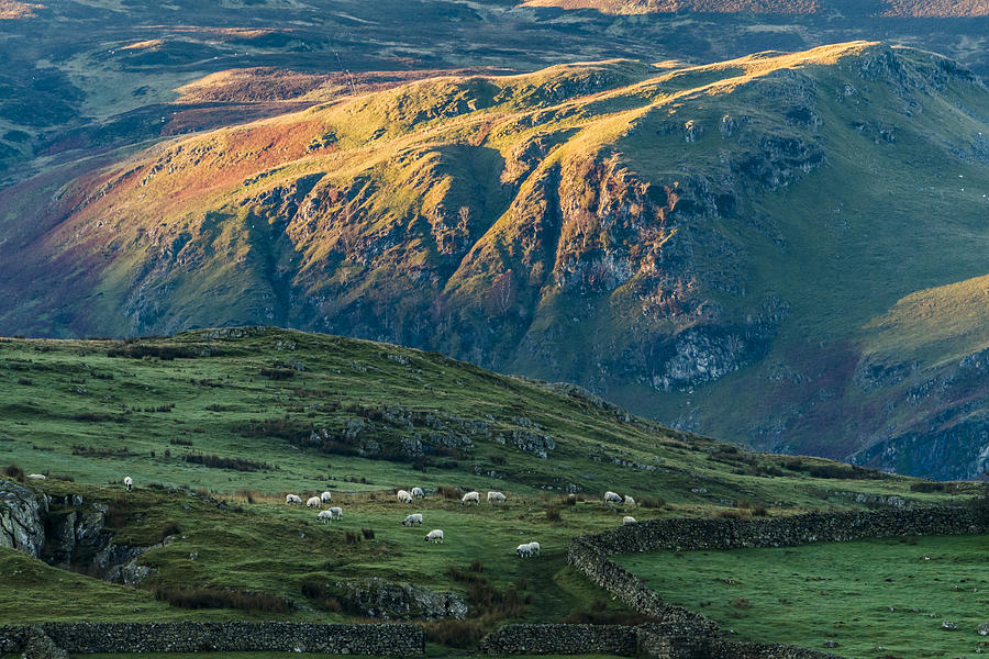 Keswick landscape. Lake District National park. UK. Photograph by John Finney Photography