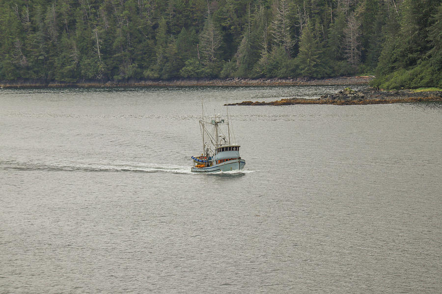 Ketchikan Boat Scamper Photograph by Ed Williams