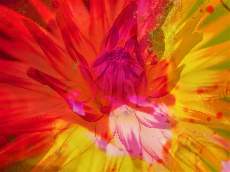 Ketchup and Mustard Floral 1 of 2 Digital Art by Mary Poliquin - Policain Creations