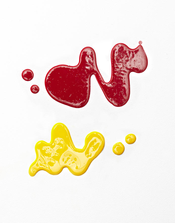 Ketchup and Mustard Photograph by Shana Novak