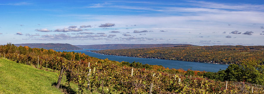 Keuka Lake in Fall Photograph by Colin McCready - Fine Art America