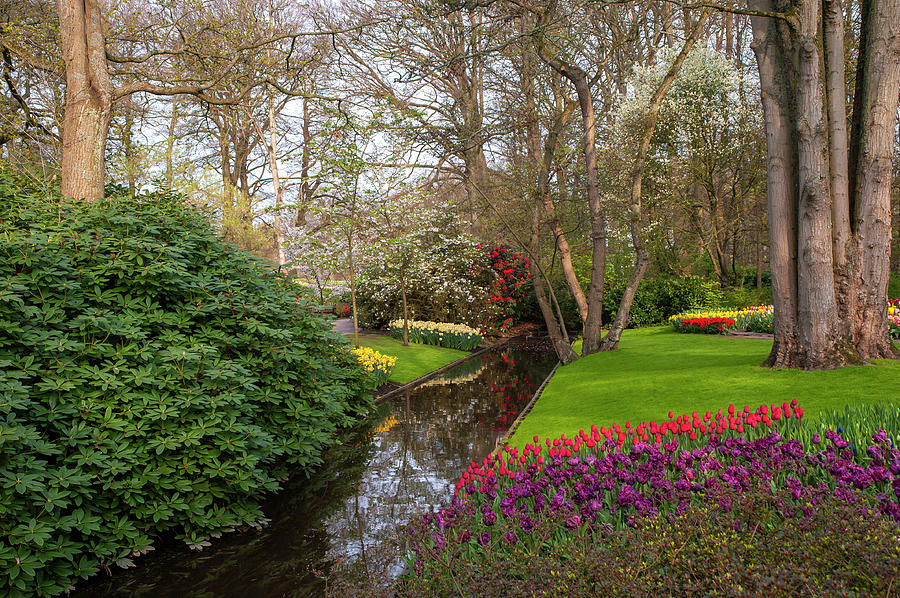 Keukenhof 2019. Vivid Spring Colors Photograph by Jenny Rainbow - Fine ...