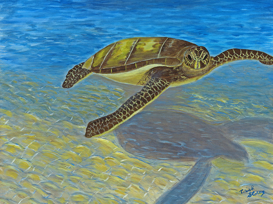 Kevin the Turtle Painting by Trish Storey | Fine Art America