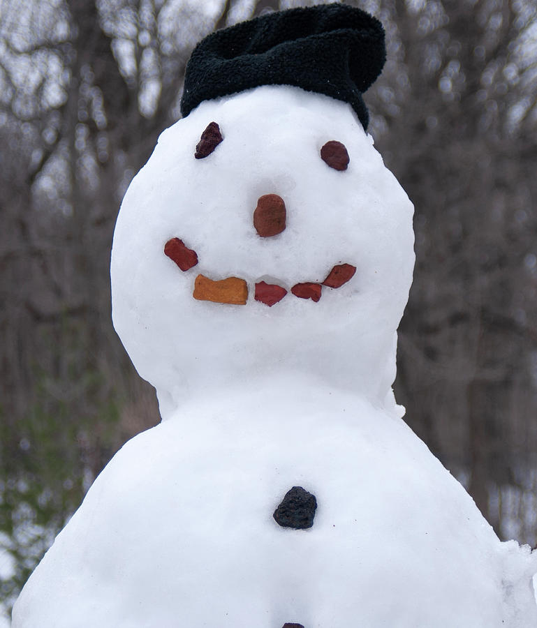 Kevin's Snow Guy Photograph by Felicia Raschke - Fine Art America