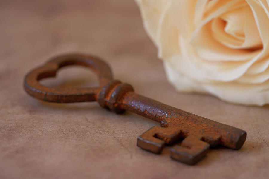 Key to the Heart Photograph by Tina Horne