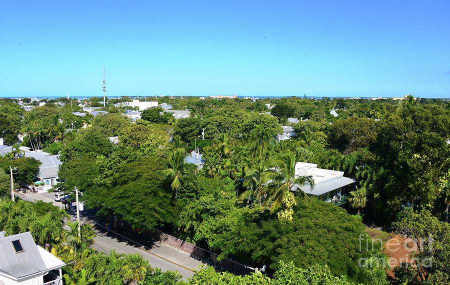 Key West Florida and Hemingways home Photograph by David Lee Thompson