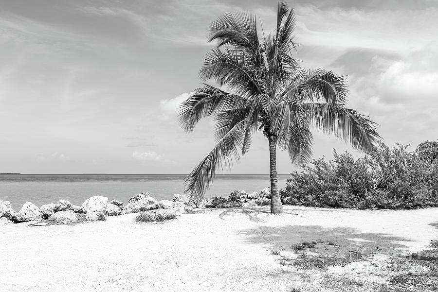 Key West Fort Taylor Beach Black and White Photograph by Paul Velgos ...