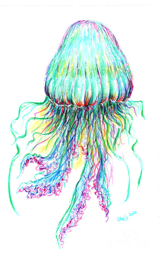 Key West Jellyfish Study 2 Painting by Shelly Tschupp