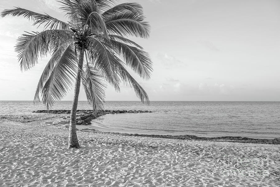 Key West Smathers Beach Black and White Photo Photograph by Paul Velgos