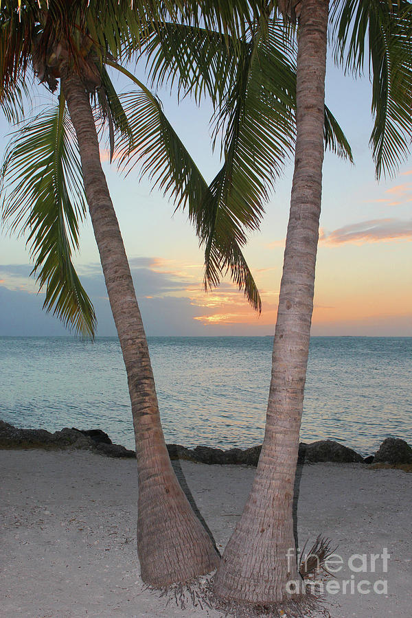Key West Sunset Photograph by Tina Uihlein