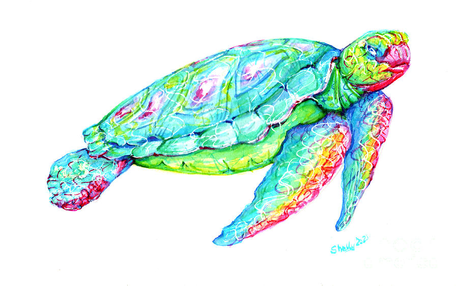 Key West Turtle 2 Study Painting by Shelly Tschupp